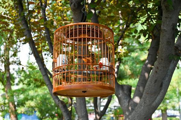 阜城門橋東還有這麼好的小公園，不錯不錯