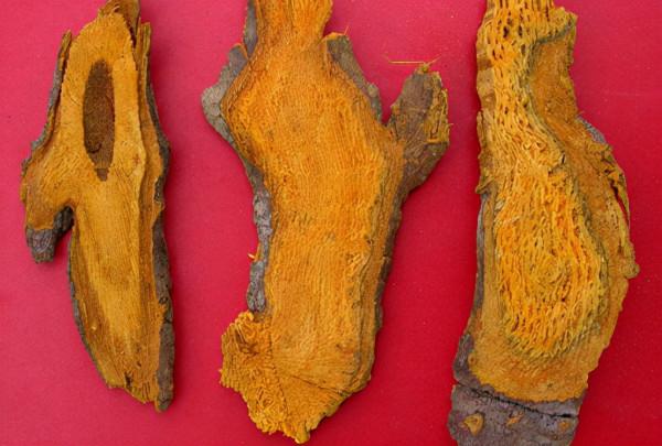 「活血化瘀」活血藥物大全 「活血化瘀」活血藥物大全