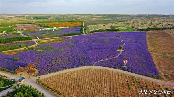 中國第一個將消失的沙漠：面積比海南島還大，80％沙漠已變成綠洲