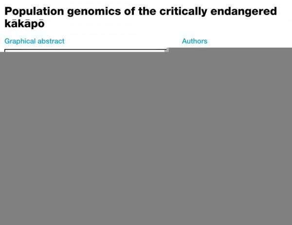 Cell genomics丨神奇!近親繁殖減少了基因有害突變 Cell genomics丨神奇!近親繁殖減少了基因有害突變