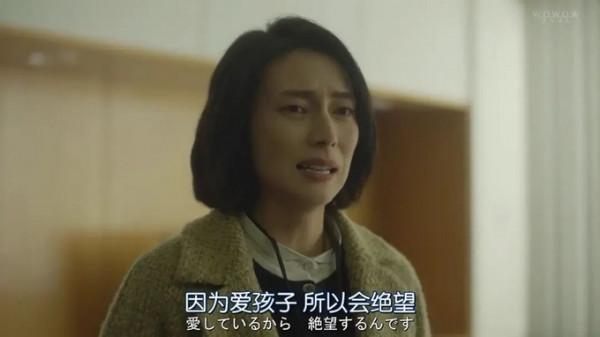 完美伴侶：高圓圓能平衡好家庭與事業嗎？