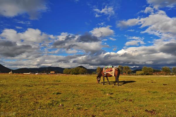雲南這幾個地方的美景,才是深秋的正確開啟方式,絕美而又低調 雲南這幾個地方的美景,才是深秋的正確開啟方式,絕美而又低調