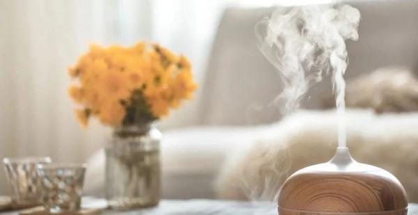 如何清除居室內的塵蟎和&OpenCurlyDoubleQuote;小強&rdquo;？