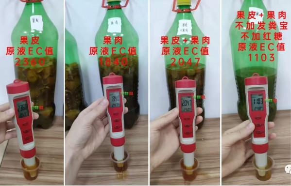 年後果價沒有預期的高，開春保命+低成本種植的幾點建議