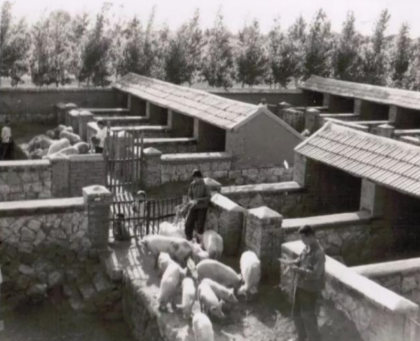 原新中國第一個“萬元戶”黃新文,如今現狀如何? 原新中國第一個“萬元戶”黃新文,如今現狀如何?