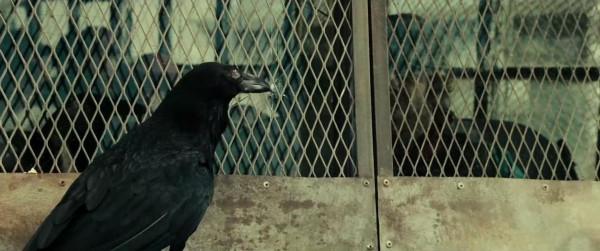 盤點《生化危機》電影中的14種恐怖怪物，喪屍犬僅排第10