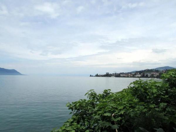 瑞士之行——第一站 蒙特勒