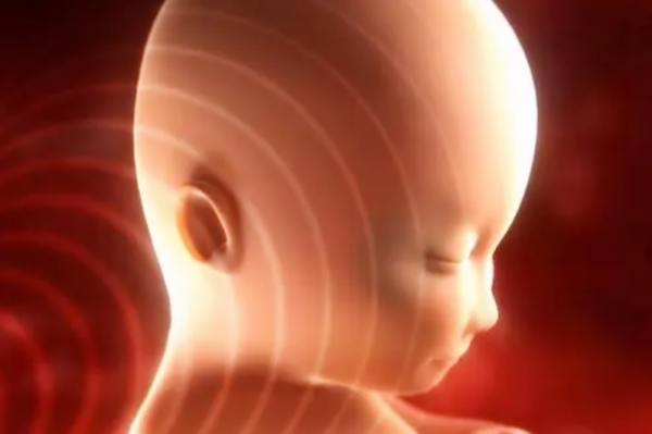 同是孕晚期,孕38周和孕40周分娩的娃無差別?三個方面區別很明顯 同是孕晚期,孕38周和孕40周分娩的娃無差別?三個方面區別很明顯