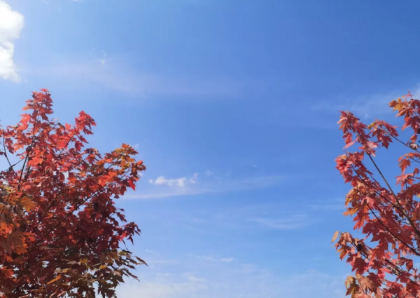 抓住秋天的尾巴，快來這8個絕美旅行地，享受當下的美景吧