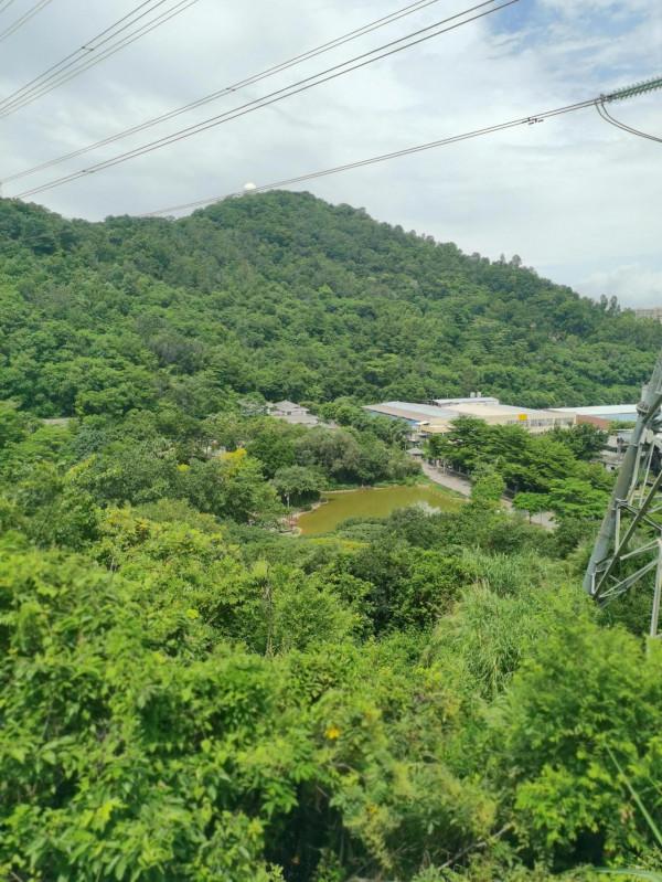 公元某年某月某日某山半日遊