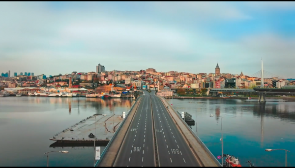 當人類消失，地球會發生什麼？