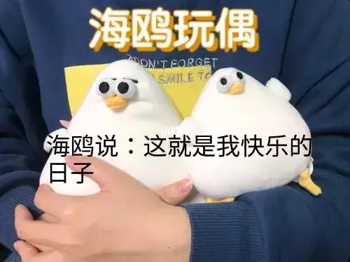 “海鷗”還得倩偶老代筆替你對是吧（1）