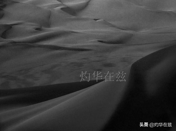 跟著獵豹拍新疆 跟著獵豹拍新疆