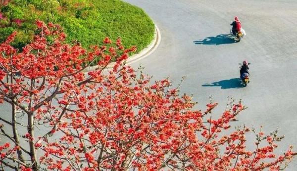 適合兩個人的旅行清單,這18個浪漫之地,有空了就帶ta去走走吧 適合兩個人的旅行清單,這18個浪漫之地,有空了就帶ta去走走吧