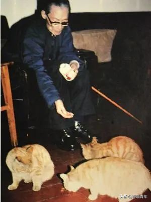 乾隆也太會給貓起名了！現代人只會：咪咪