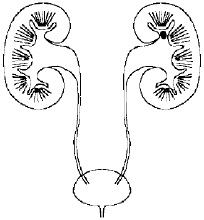 結石發作時生不如死!若不想被“纏上”,建議收藏這份防控指南 結石發作時生不如死!若不想被“纏上”,建議收藏這份防控指南