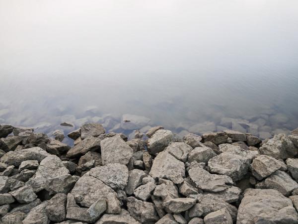 釣鯰魚技巧大揭秘!6大釣法,5大釣點,2個注意事項 釣鯰魚技巧大揭秘!6大釣法,5大釣點,2個注意事項