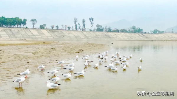 金堂來了一群特殊的客人