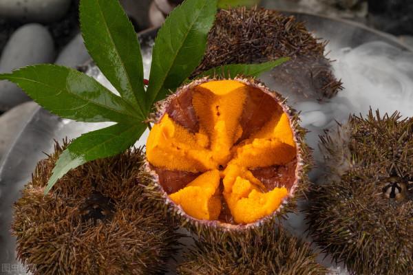 舌尖上的美食，這些新奇海鮮你都瞭解嗎？