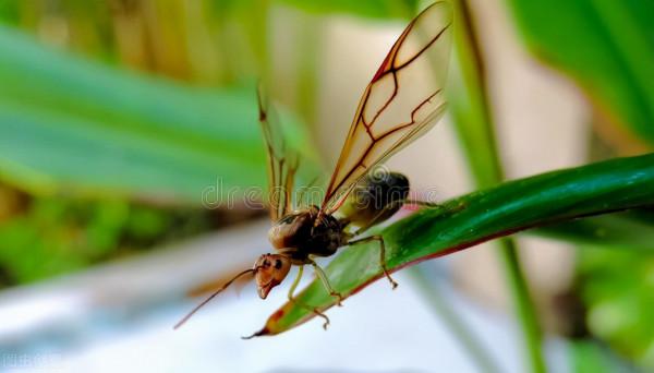 未來組織長什麼樣