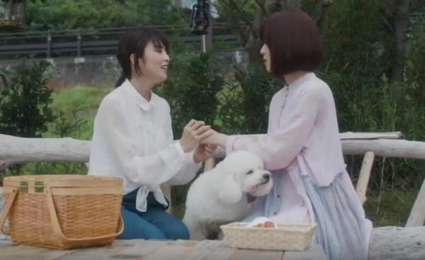 33歲乖乖女罹患癌症，隻身來小島度餘生：一本探尋生命真諦的小說