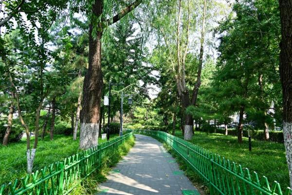 阜城門橋東還有這麼好的小公園，不錯不錯