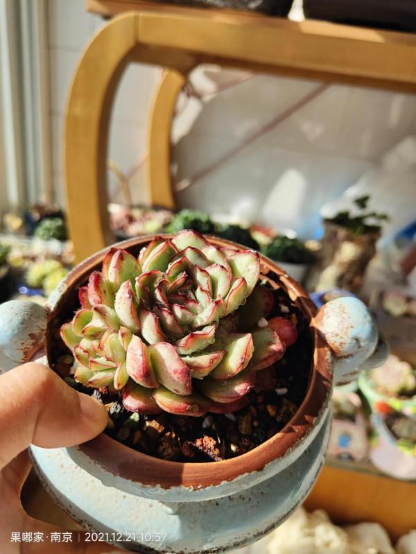 最近降溫，大家注意保暖哦