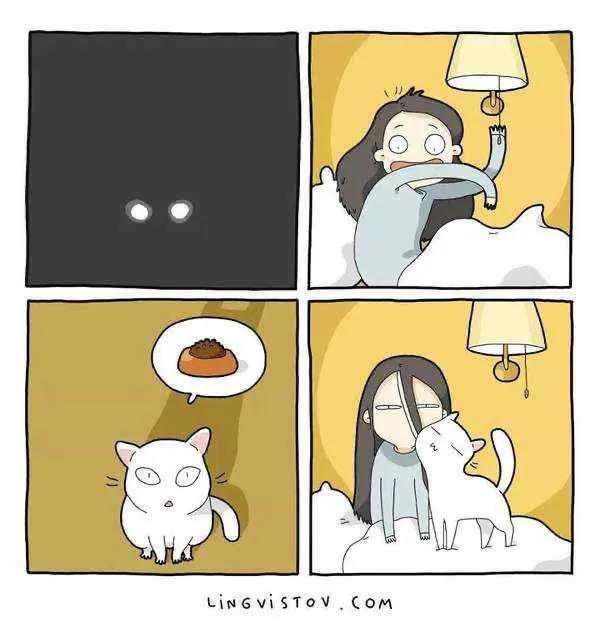 擼貓的人都懂 擼貓的人都懂