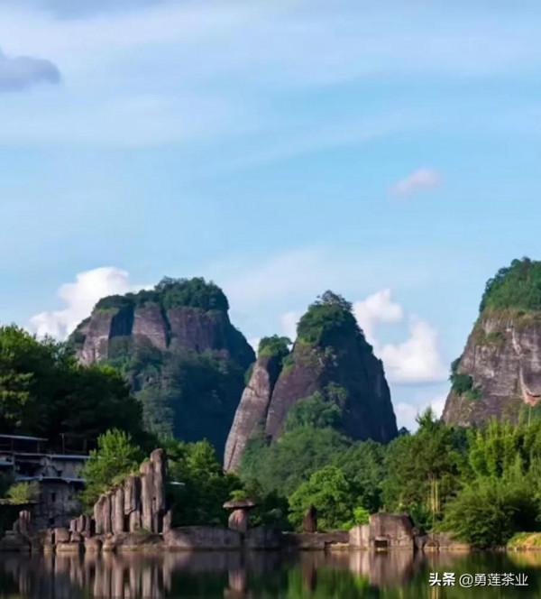 時常自醒反思 這才能得具備上等能量 上等環境 時常自醒反思 這才能得具備上等能量 上等環境