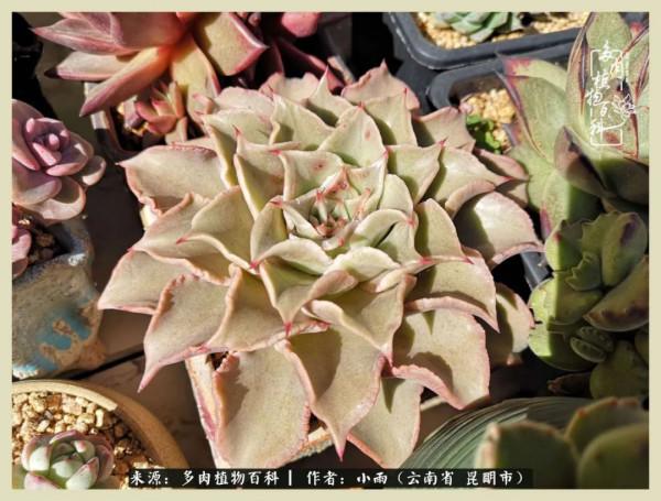 用一份熱愛，溫暖一段時光