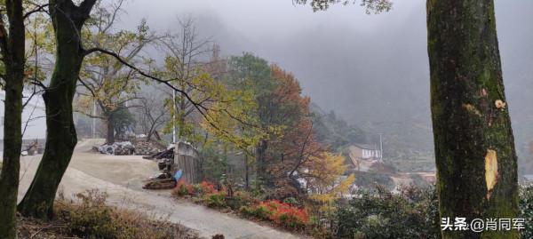 大徽尖下良田包：鄉愁盈溢之地