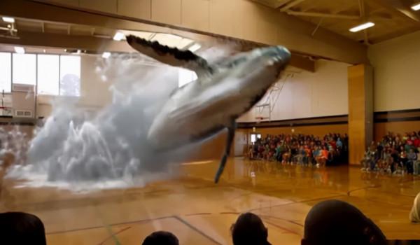 科技消費領域的邏輯淺析