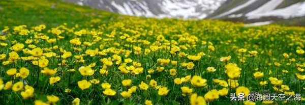 這裡是新疆|全畫幅美景(2) 這裡是新疆|全畫幅美景(2)