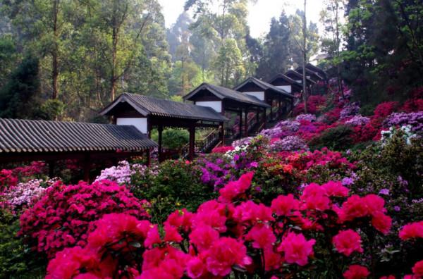 四川省有七個人少景美,老少皆宜的好玩地方,你都去對了嗎? 四川省有七個人少景美,老少皆宜的好玩地方,你都去對了嗎?