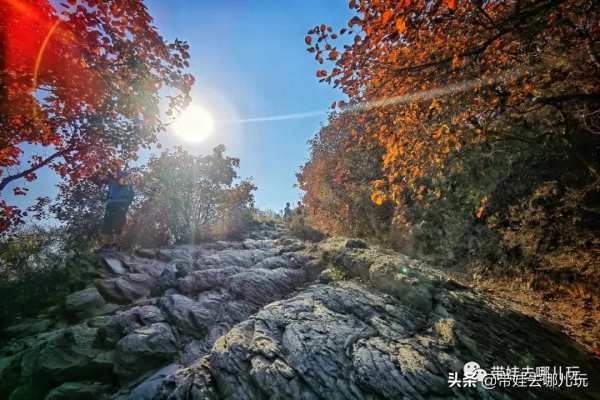 賞紅何必去郊區!北京西五環邊上的這座公園,紅葉正好 賞紅何必去郊區!北京西五環邊上的這座公園,紅葉正好