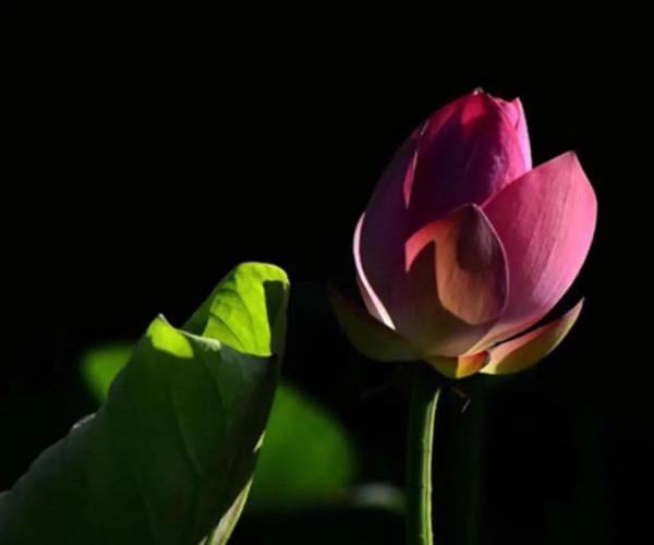 心裡說不出的滋味