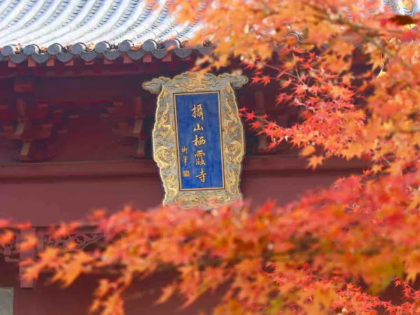 秋日漸紅,一眼就愛上的國內四大賞楓勝地 秋日漸紅,一眼就愛上的國內四大賞楓勝地