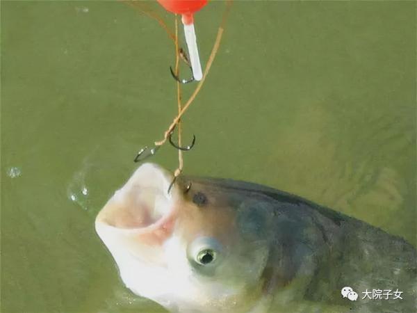 孫新生：閒話垂釣