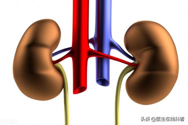 為了打敗腎病,他做了2件事,如今腎功能還挺好,不妨瞭解 為了打敗腎病,他做了2件事,如今腎功能還挺好,不妨瞭解
