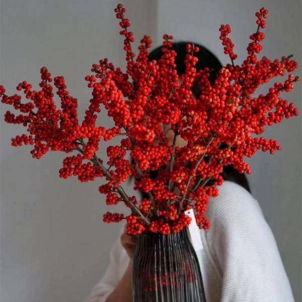 7種&OpenCurlyDoubleQuote;土豪花&rdquo;，貴的太離譜，工薪族&OpenCurlyDoubleQuote;捨不得&rdquo;，看看解解饞