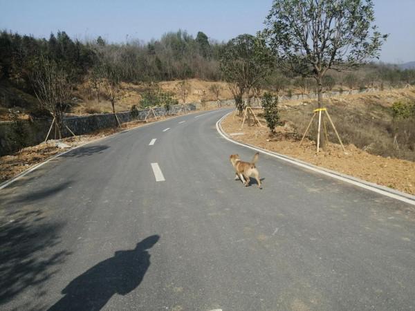 女孩子們，一定要在最好的年齡選支績優股嫁出去？