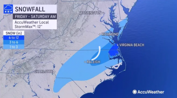 美國佛州氣溫驟降，動物學家警告小心天降綠鬣蜥砸到人，咋回事？