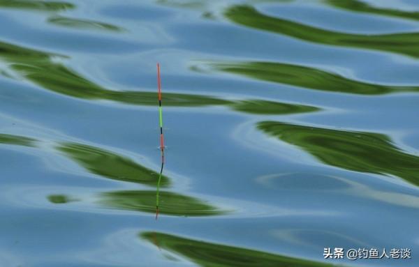 冬季釣魚，遇到魚口非常輕怎麼辦？從這5個方面去調整，爆護而歸