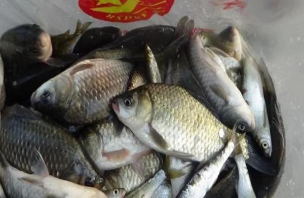 冬季釣魚4不釣和2技巧，想爆護還是想空軍都由你來定