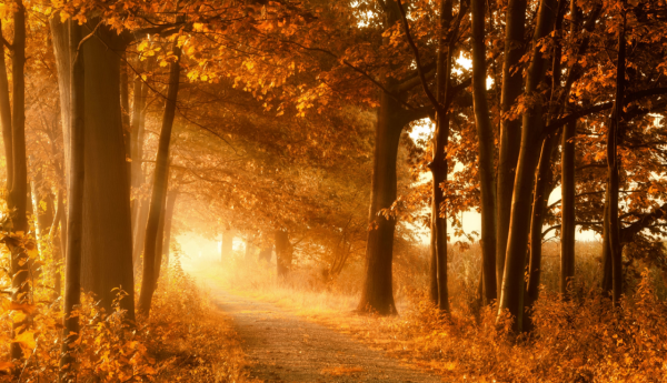 反省自己，成全自己（建議收藏）