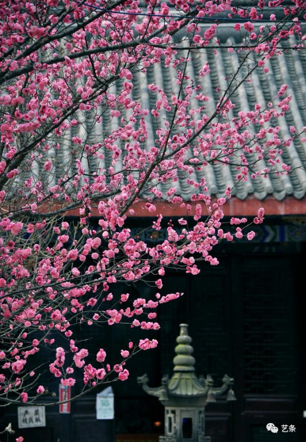 簡 是美的最高境界