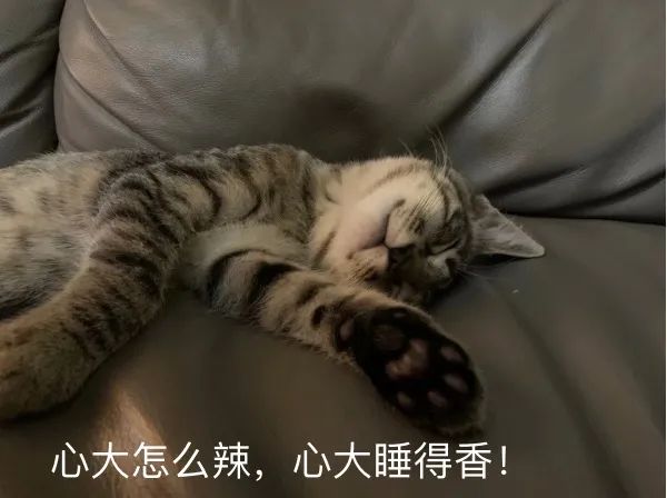 對人類幼崽佛系淡定的老母親，為什麼卻會被貓咪激發焦慮體質？