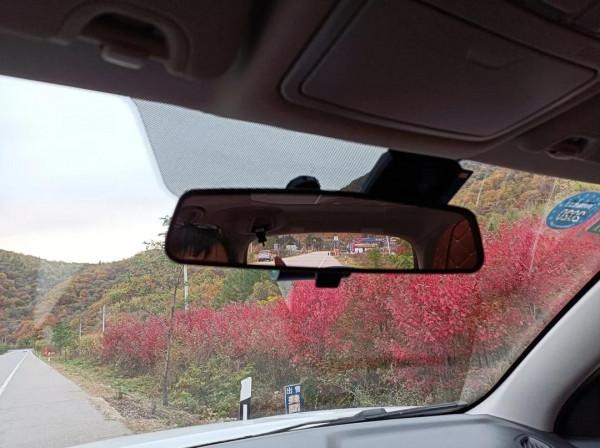 帶著我的大白,享受不同的風景 帶著我的大白,享受不同的風景