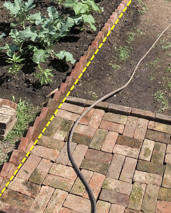 庭院規劃,我心裡有數!用籬笆圈一個菜園子,留一半鋪防腐木休閒 庭院規劃,我心裡有數!用籬笆圈一個菜園子,留一半鋪防腐木休閒