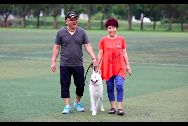 狗狗走丟一年後自己找了回來,家人驚喜又懷疑,耳朵怎麼不一樣? 狗狗走丟一年後自己找了回來,家人驚喜又懷疑,耳朵怎麼不一樣?